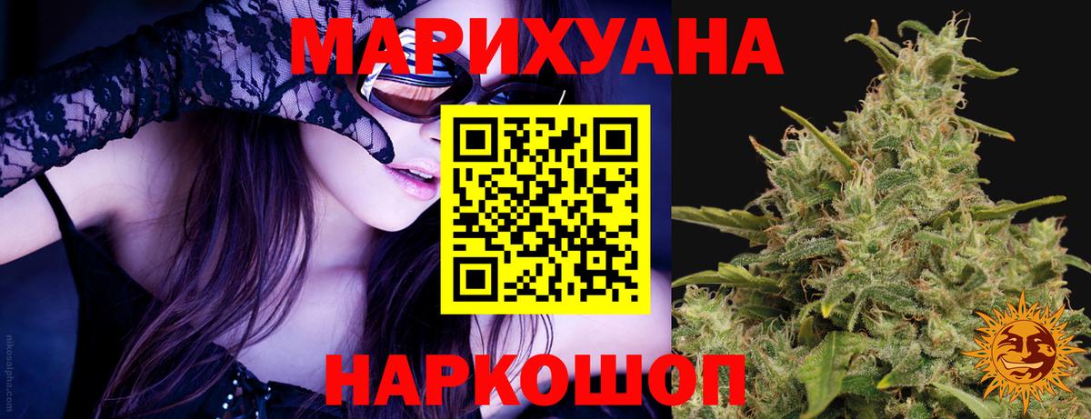 Конопля OG Kush Александров